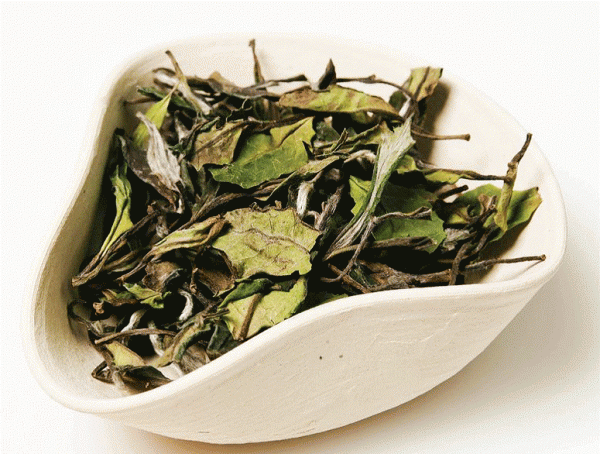 Гун Мей белый чай e1512393155406 - Белый чай-нежный вкус и аромат!